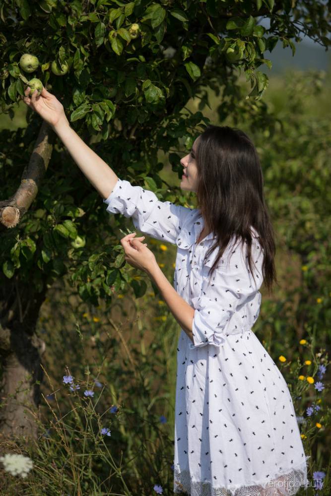 Dark haired teen Adel Morel picks apples and flowers in her birthday suit - #14