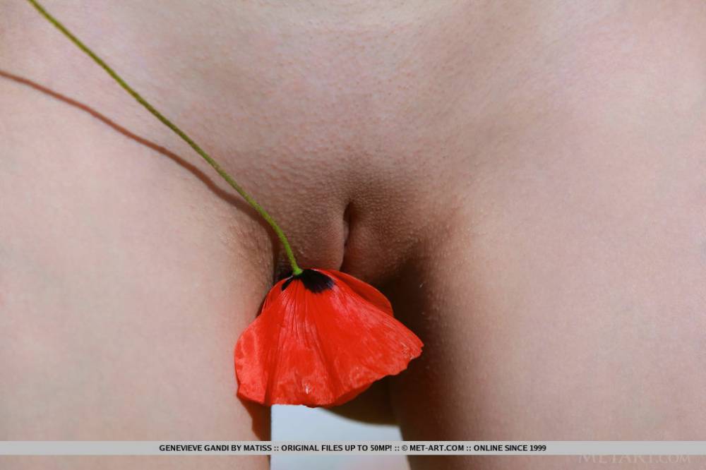 Sweet teen Genevieve Gandi strips naked in a field of blooming flowers - #14