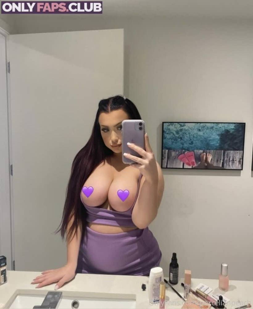 porcelainpeachx OnlyFans Leaks (29 Photos) - #15