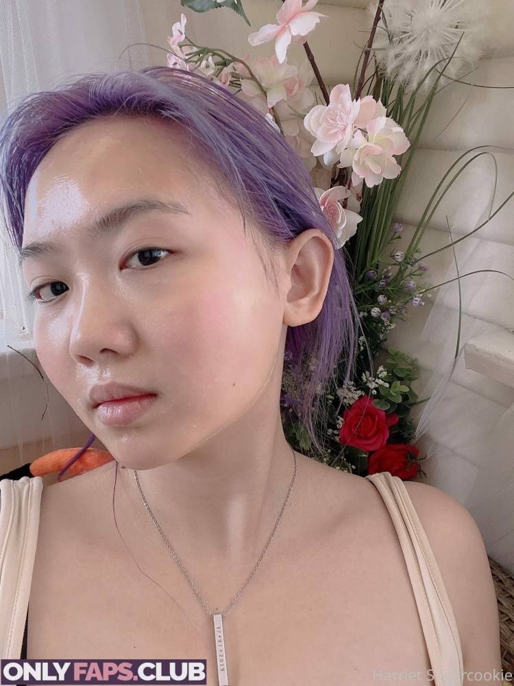 Harriet Sugarcookie OnlyFans Leaks (90 Photos) - #30