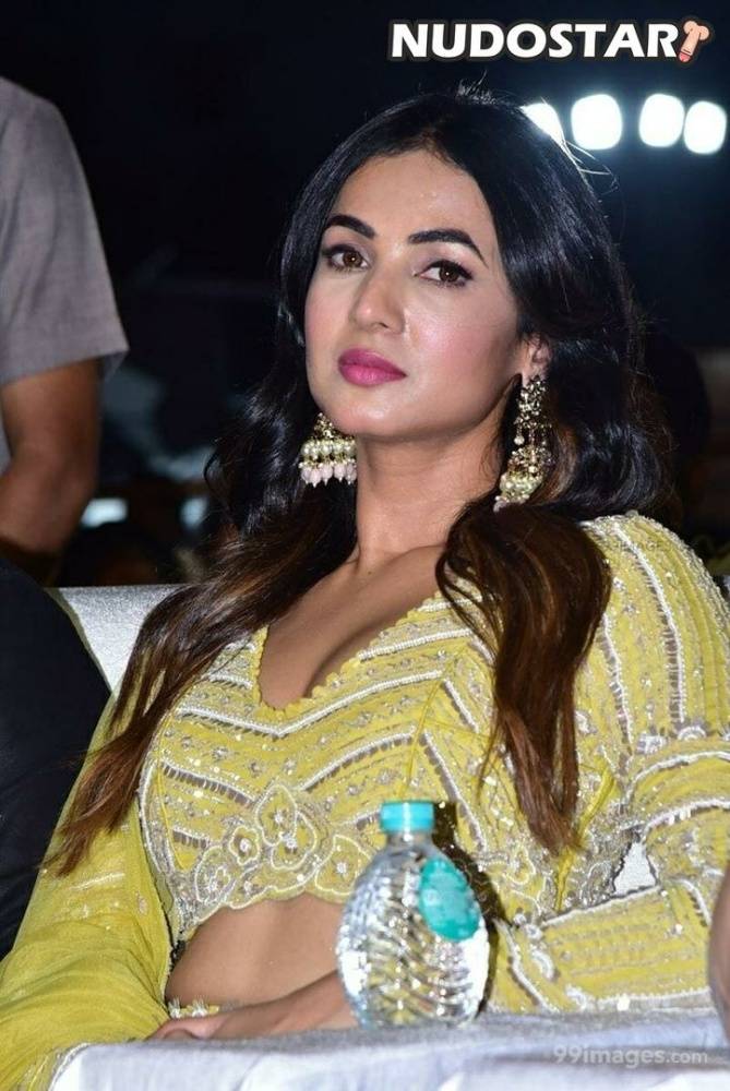 Sonal Chauhan Instagram Leaks - #15