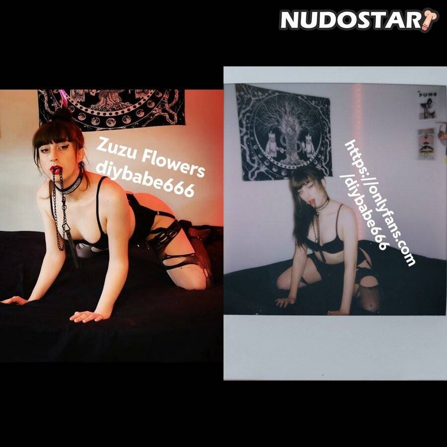 Zuzuflowers 2013 diybabe666 OnlyFans Leaks - #22