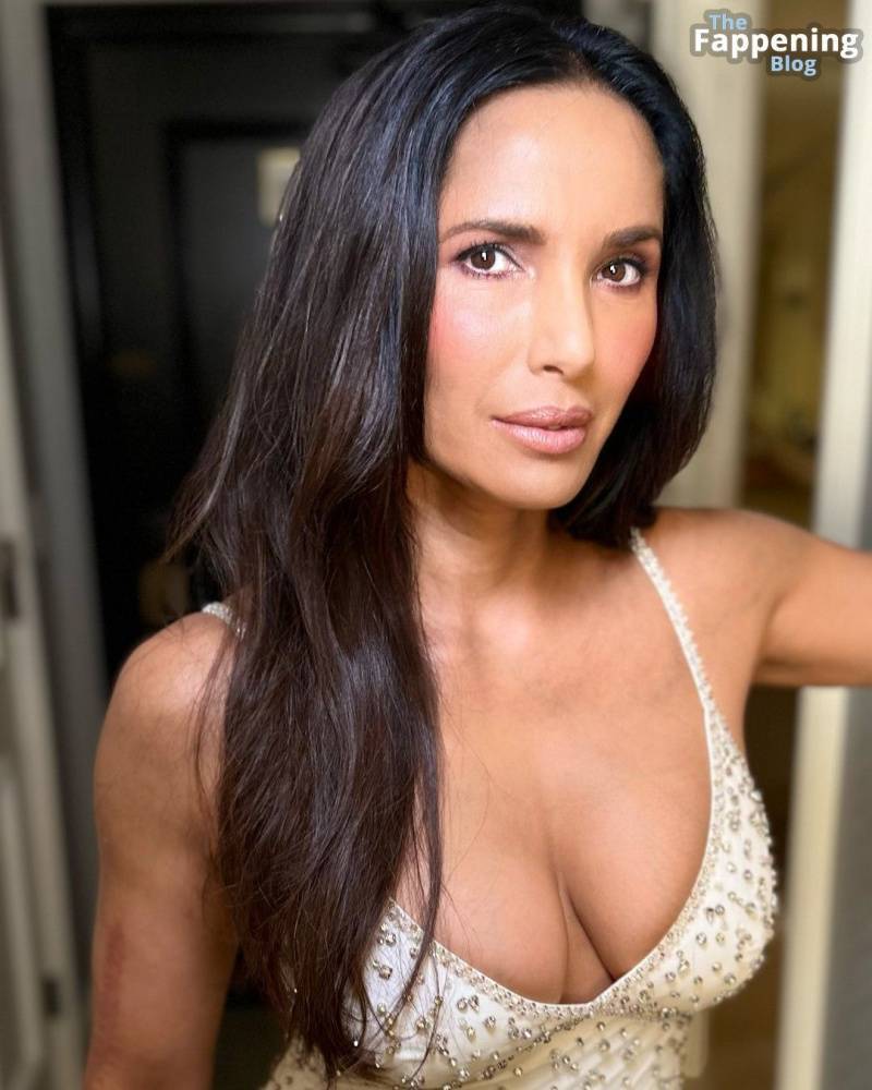 Padma Lakshmi Sexy (6 Photos) - #5