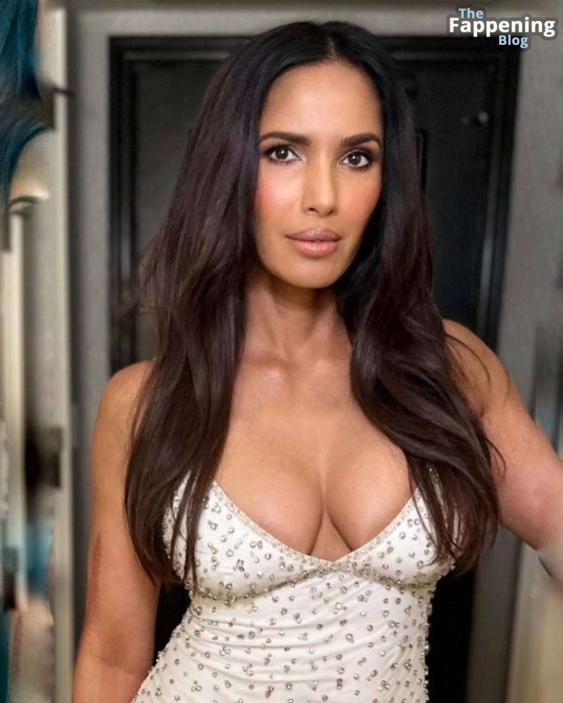 Padma Lakshmi Sexy (6 Photos) - #3