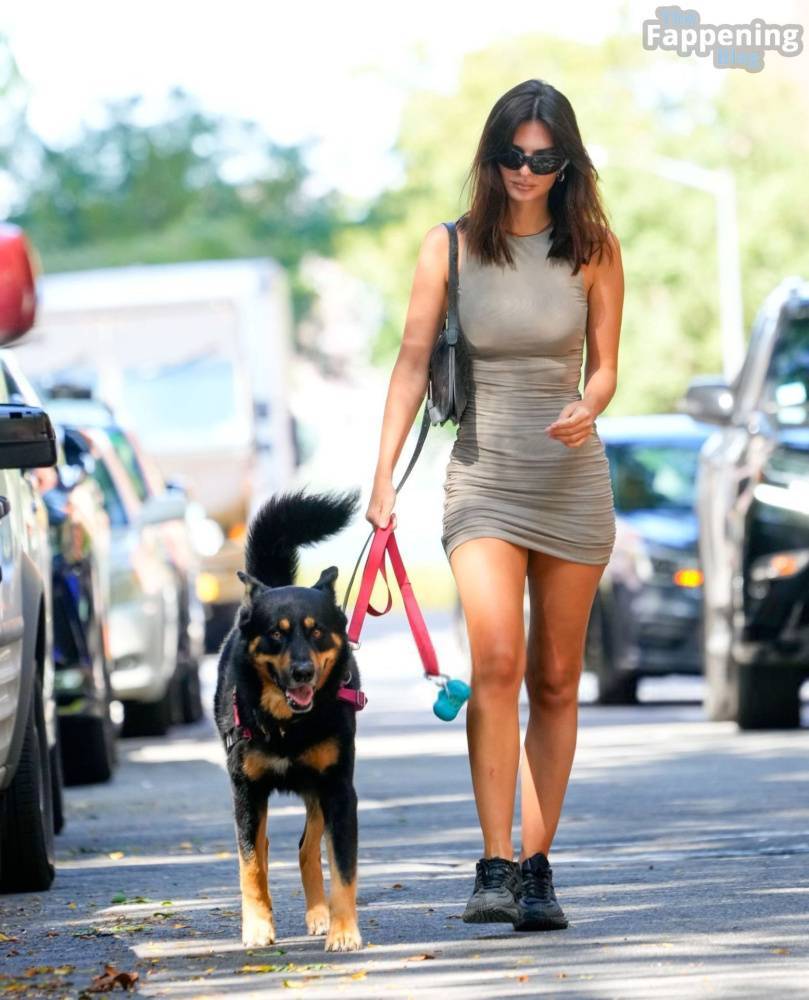 Emily Ratajkowski Looks Hot in a Mini Dress While Walking Her Dog in NYC (32 Photos) - #1