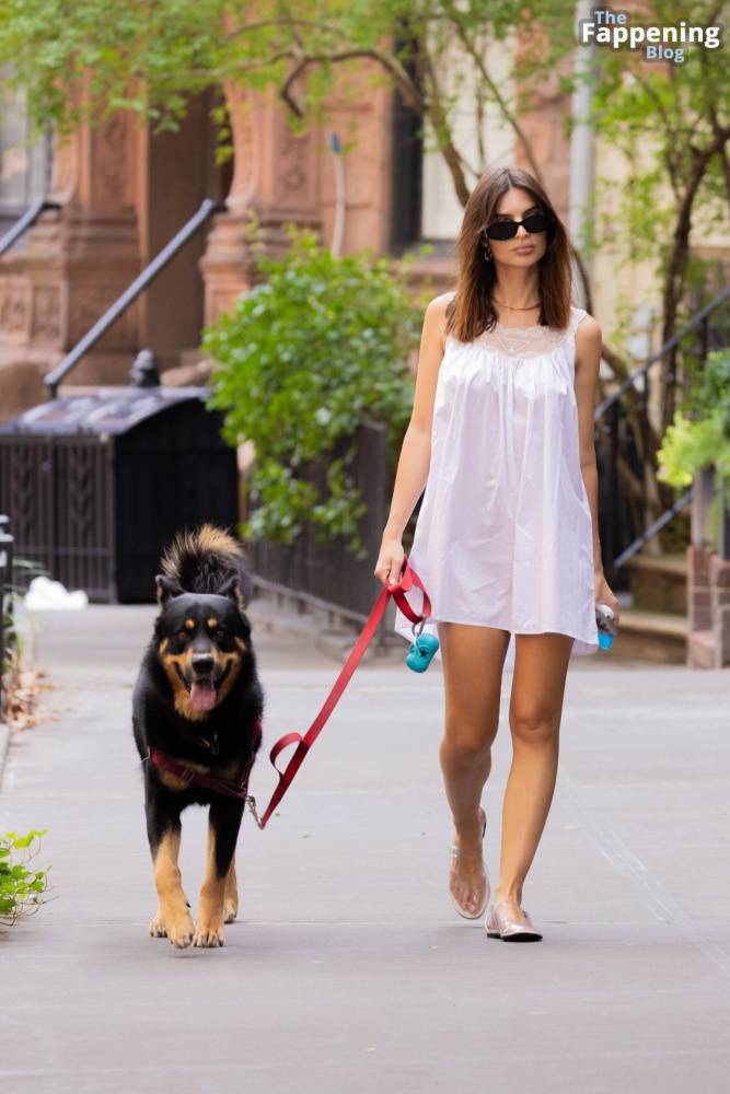 Emily Ratajkowski Stuns in White as She Takes Her Dog Out for a Fart Walk (16 Photos) - #3