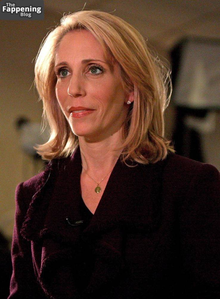 Dana Bash Sexy (8 Photos) - #5