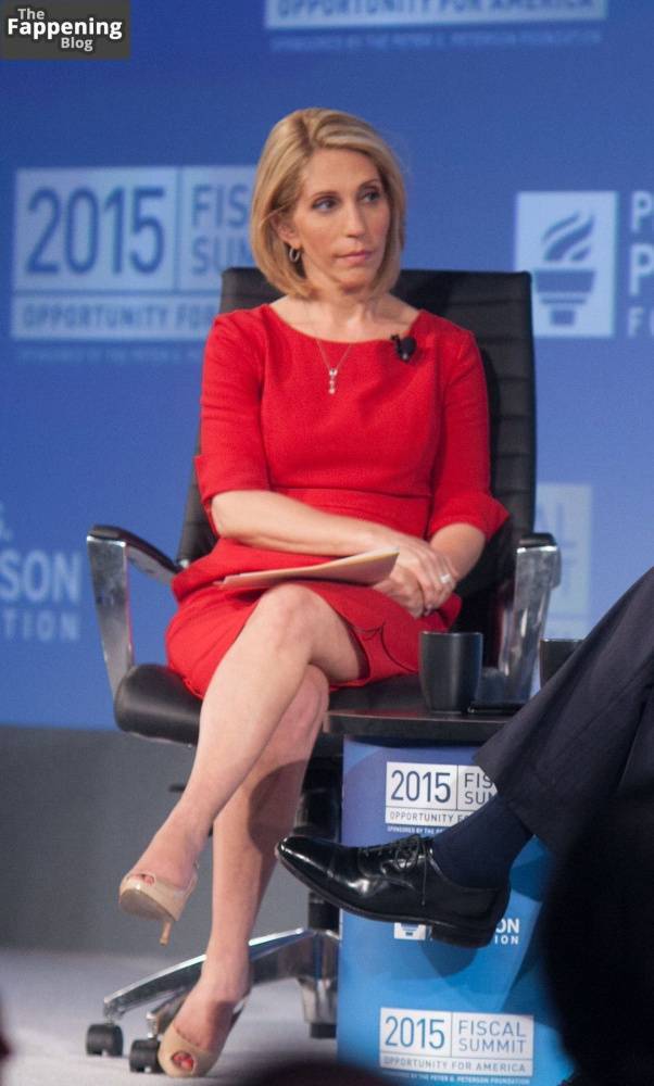 Dana Bash Sexy (8 Photos) - #3