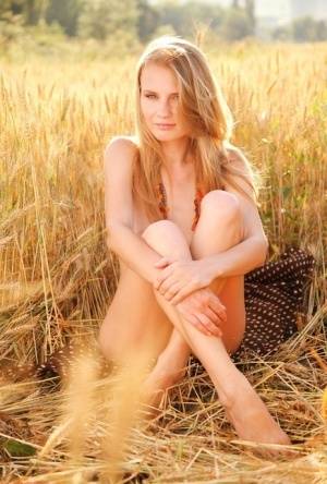 Young blonde beauty Frida C models naked while in a field of wheat - #main