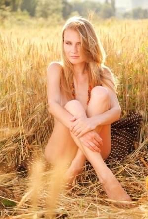 Young blonde beauty Frida C models naked while in a field of wheat on amateurlikes.com