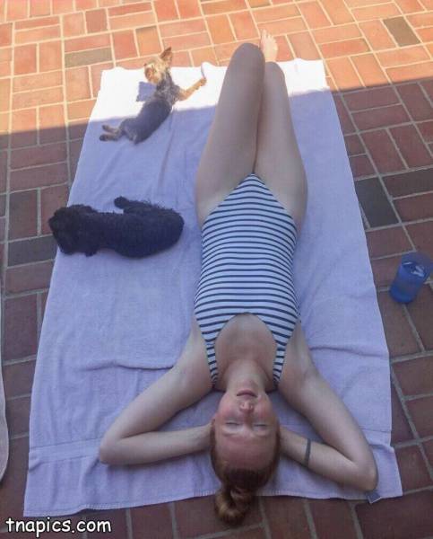 Molly Quinn Nude on amateurlikes.com