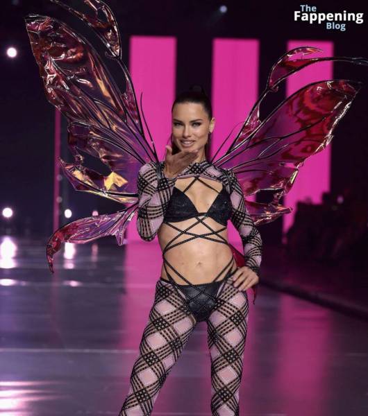 Adriana Lima Stuns at the Victoria’s Secret Fashion Show (80 New Photos) on amateurlikes.com